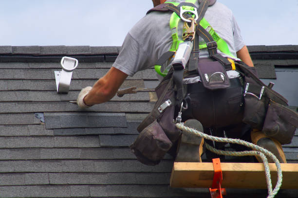 Best Flat Roofing  in Constantine, MI