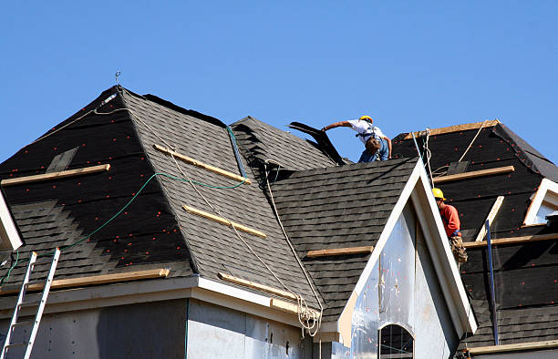 Best Asphalt Shingle Roofing  in Constantine, MI